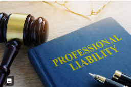 A law gavel and a professional liability book on a table